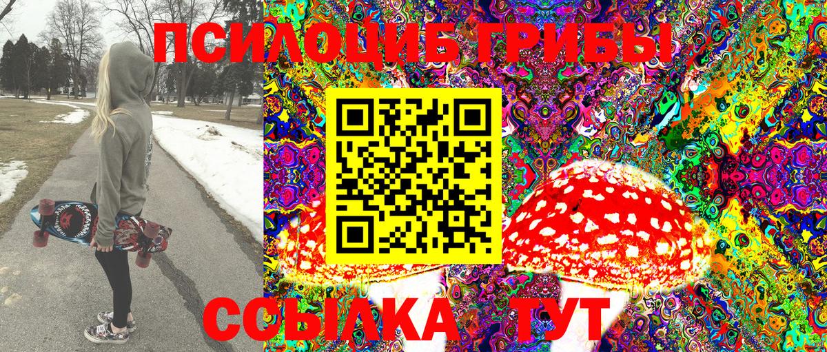 Псилоцибиновые грибы Psilocybe Ленинск-Кузнецкий