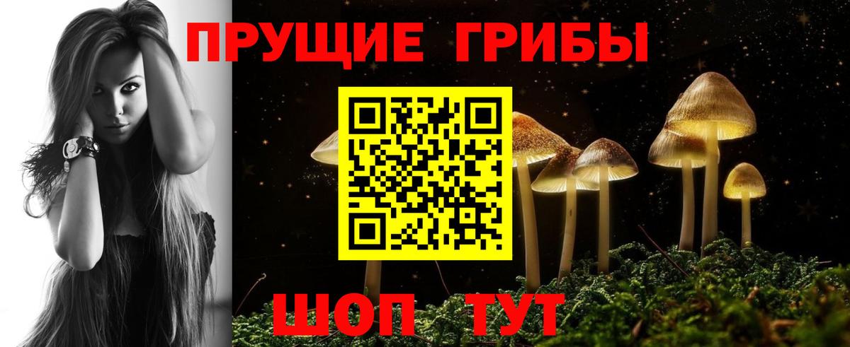 Ленинск-Кузнецкий  Галлюциногенные грибы ЛСД  Вход с VPN 